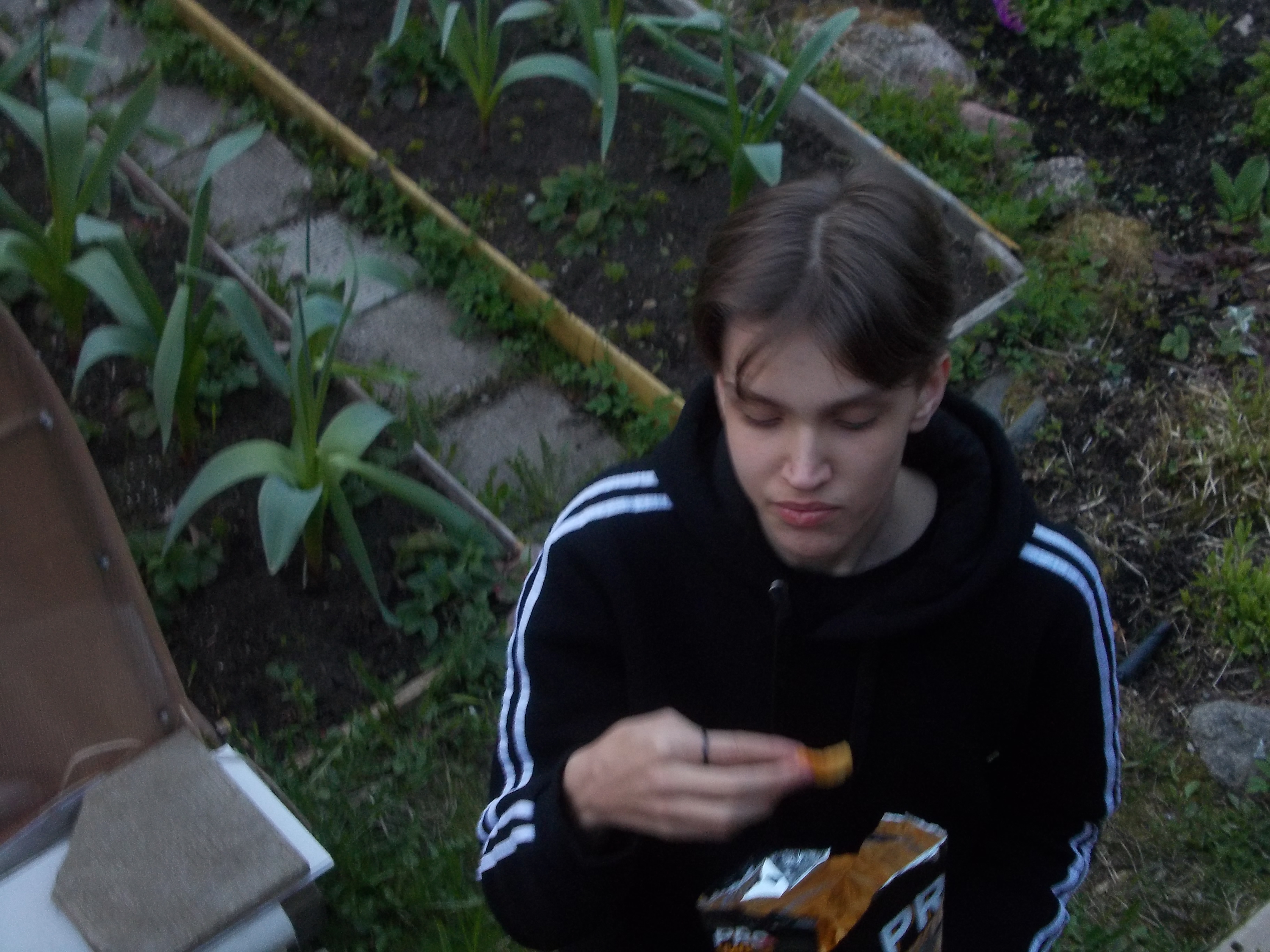 Прогулка